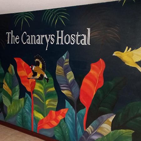 The Canarys Hostal Santa Rosa de Cabal Exterior photo